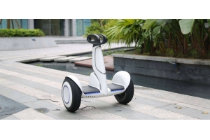 泰嘉物流平衡車專線，助力中國賣家海外掘金