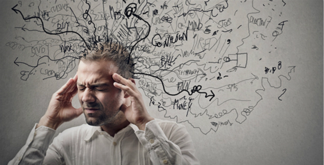 鹽田快船是什么?官網是什么