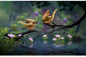 泰嘉物流3月大降價!UPS快遞運費降幅高達8-15元/KG