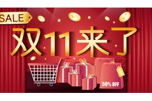 俄羅斯速賣通全力備戰雙11，物流能力提升4倍