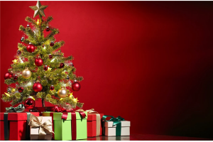 全球92%的圣誕樹中國造，大部分出自義烏