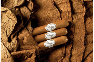 國際快遞怎么寄煙和酒的