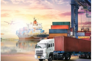 國際快遞服務是否提供貨物保險的額外選項?