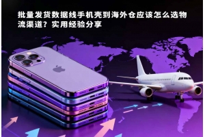 批量發(fā)貨數(shù)據(jù)線手機殼到海外倉應該怎么選物流渠道？實用經(jīng)驗分享