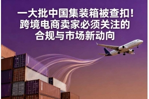 一大批中國集裝箱被查扣!跨境電商賣家必須關注的合規與市場新動向