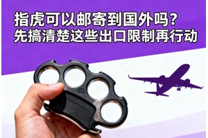 指虎可以郵寄到國(guó)外嗎？先搞清楚這些出口限制再行動(dòng)