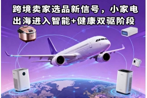 跨境賣家選品新信號，小家電出海進入智能+健康雙驅階段