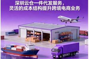 深圳云倉一件代發服務，靈活的成本結構提升跨境電商業務