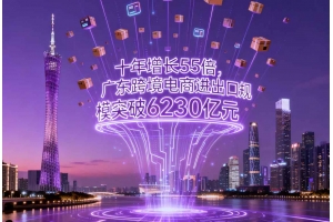 十年增長55倍，廣東跨境電商進(jìn)出口規(guī)模突破6230億元