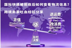 國際快遞被拒收后如何查看物流信息？跨境賣家吐血經驗分享