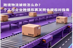 跨境物流被稅怎么辦？個人與企業跨境包裹關稅合規應對指南